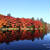 軽井沢・雲場池の紅葉　その１