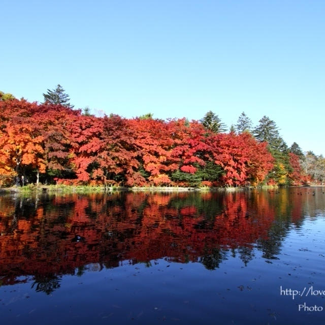 軽井沢・雲場池の紅葉　その１