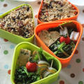 100円shopの△弁当　☆　宇宙から見たﾌﾗﾝｼｽｺ＆ﾚｷﾏｰ♪