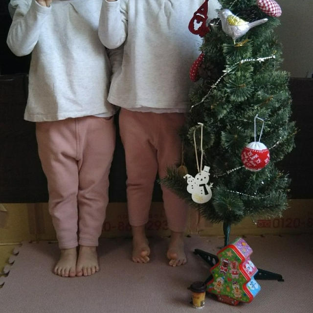 クリスマスツリー出しました