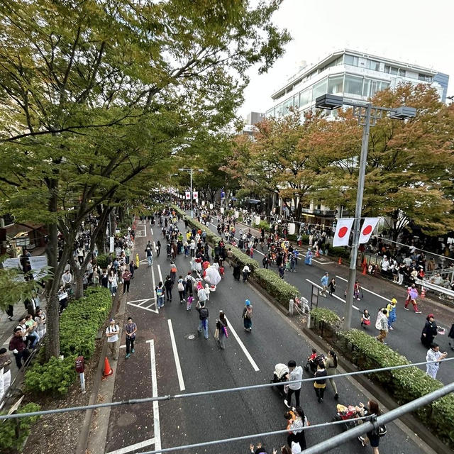東京へ（５）ふらりと気ままに「東京の日曜日」