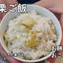 拾った栗で急遽栗ご飯作りました＼(^o^)／