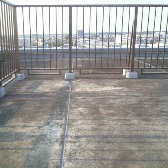 癒し、、、とエスカワイイ