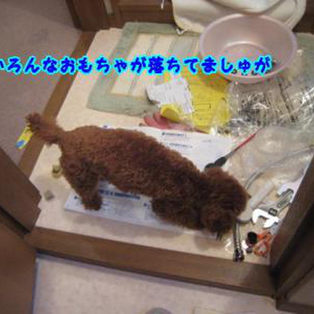 ウォシュレットついたどー