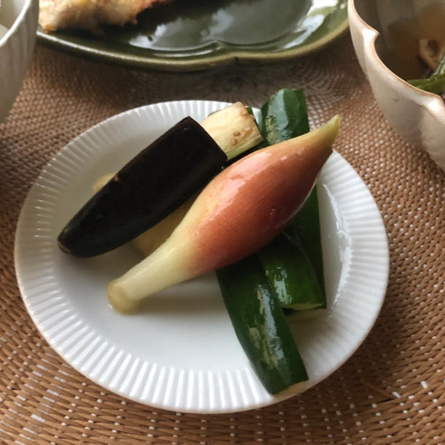 【超簡単】過去最高～～～～にめっちゃ旨い！夏野菜の「はちみつワサビ漬け」