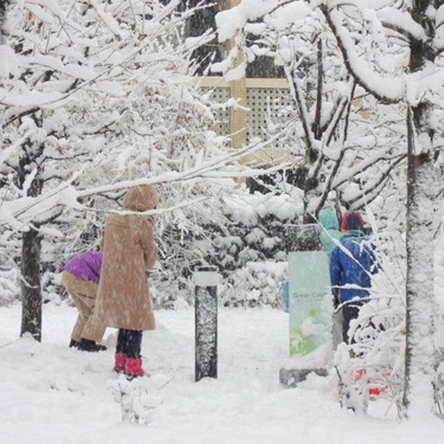 東京に大雪警報です！