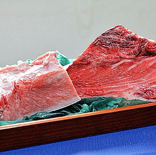 ３キロのマグロのカマに一目惚れ～♪
