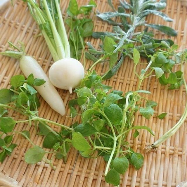 七草粥からの味噌作り