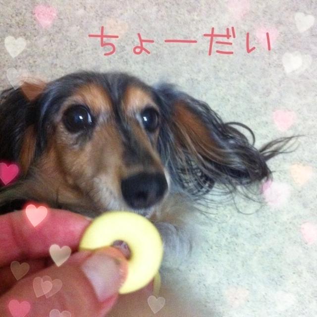 今日の1枚☆ちょーだい、ちょーだい