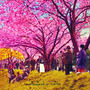 やっぱり日本の桜は素敵