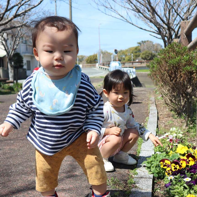 桜が咲き始めたよ