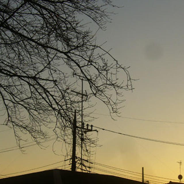 2010年の夕陽。