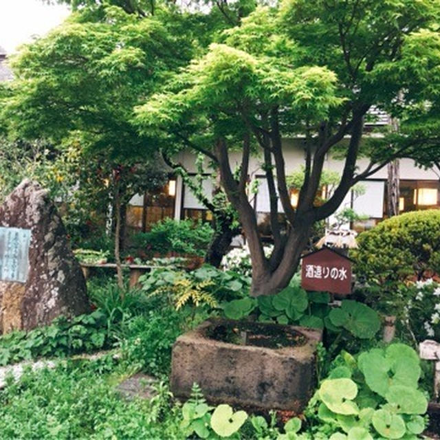 酔いどれ東北紀行、世嬉の一酒造さんのナイトツアー