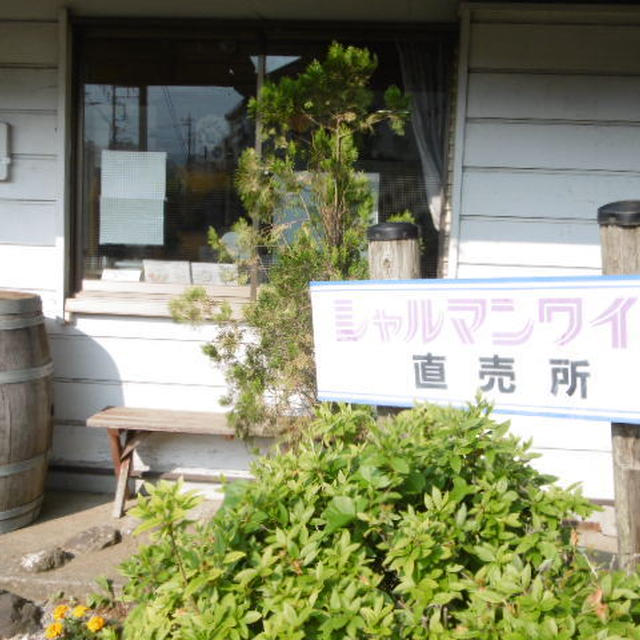 シャルマンワイン・試飲コーナー