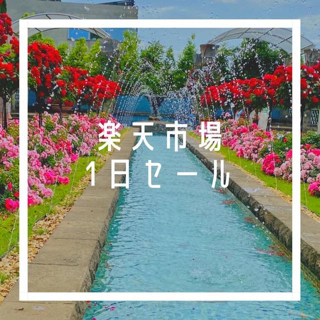 毎月1日限定セール♪楽天市場