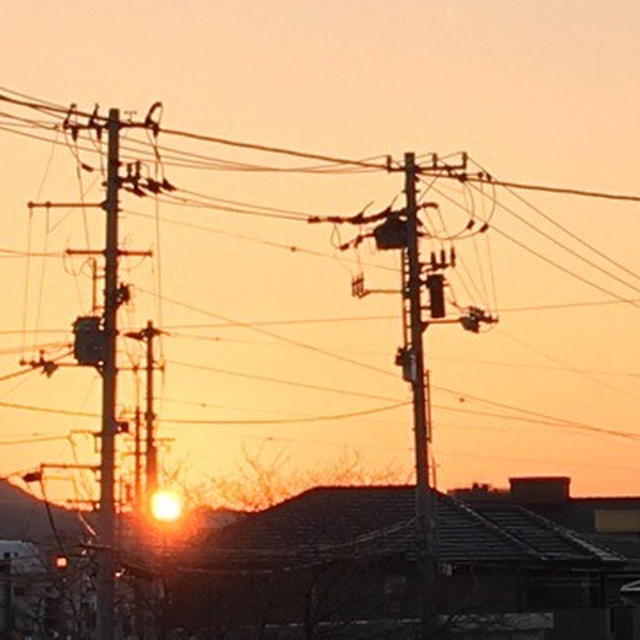 すごっ！美味しいが寸胴鍋いっぱい