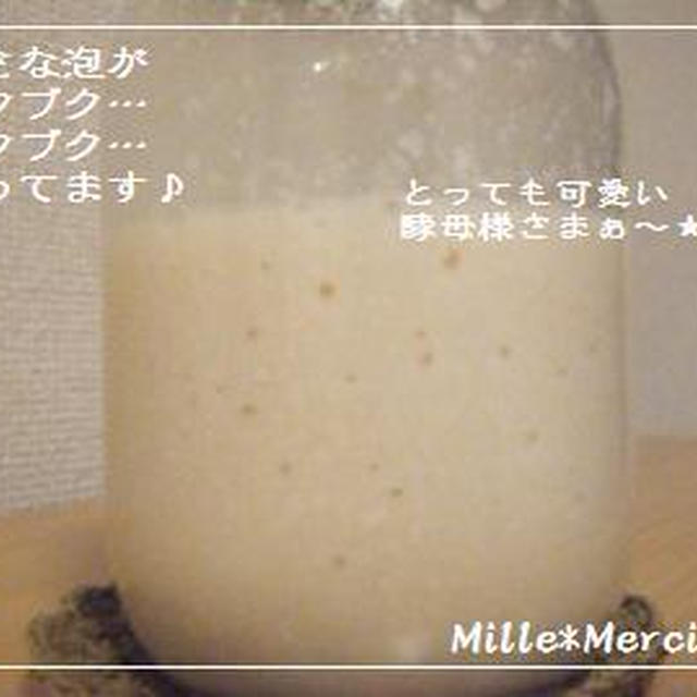 酒粕酵母完成 と 失敗ケー・・・