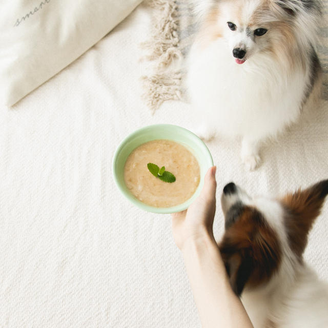 ミキサー不要♪4分でつくれる犬のバナナスムージーのレシピ（手作り犬おやつ）