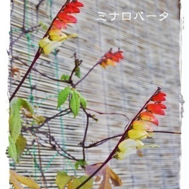 なし。
