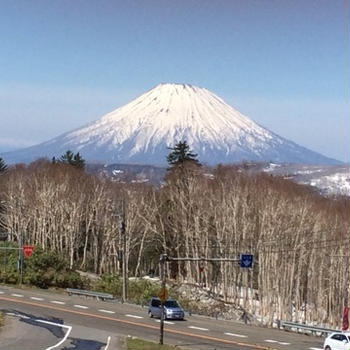 こんなにきれいに