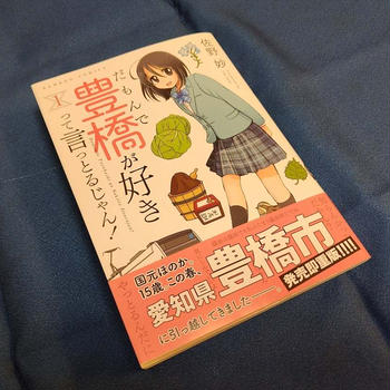 だもんで豊橋が好きって言っとるじゃん！（1）　読了！