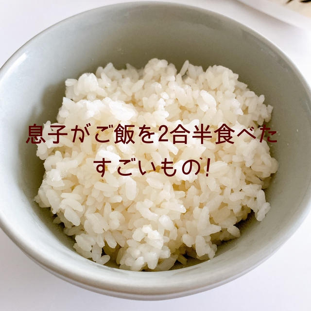 息子が白米2合半平らげたすごいおかず!!!