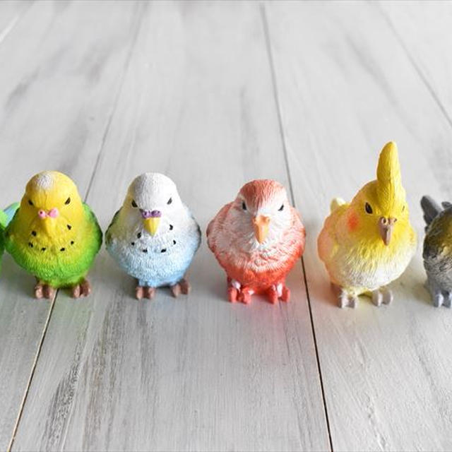 かわいくて全部ほしくなる！！セリアで見つけたキュートなリアル「インコ」たち