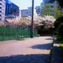 うつぼ公園