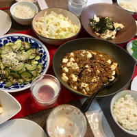 【コストコ】夏のしびから麻婆茄子豆腐！！