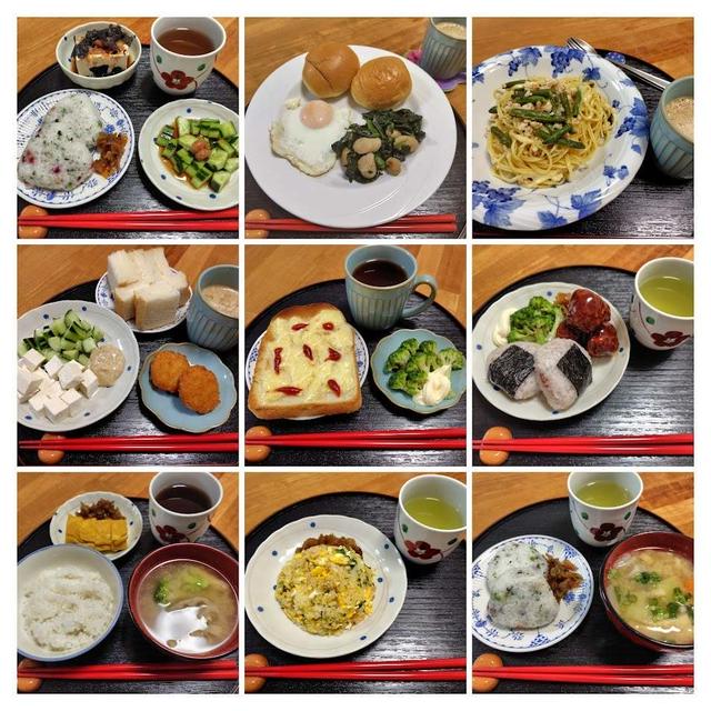 5月18日（日）～5月24日（土）の食事