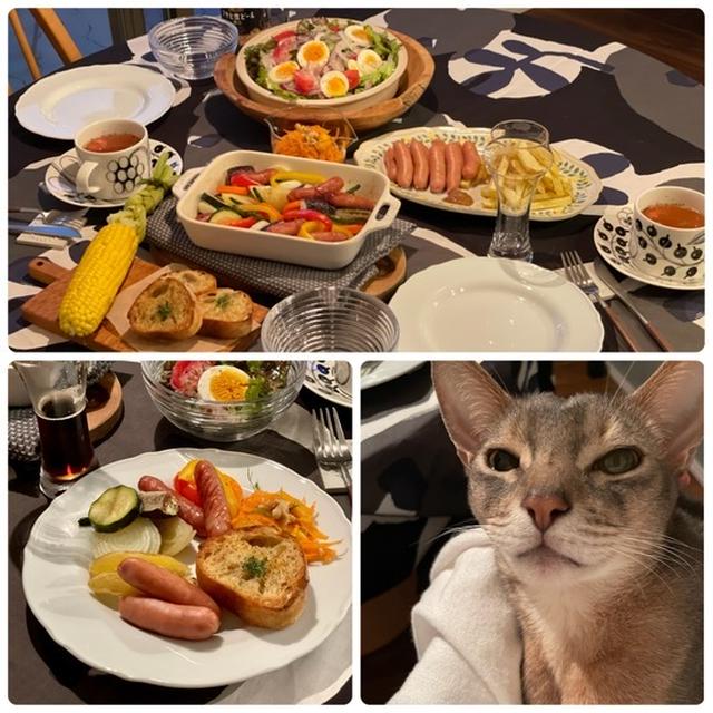 今度は、洋風ねこ居酒屋さん風♪