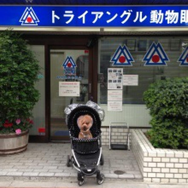 お騒がせいたしました。