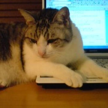 PCの番人も元気です☆