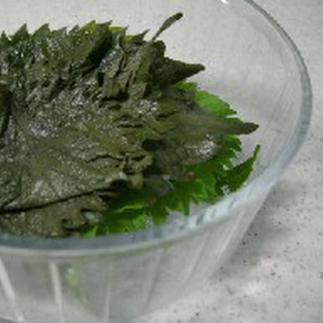 シソの葉の塩漬け