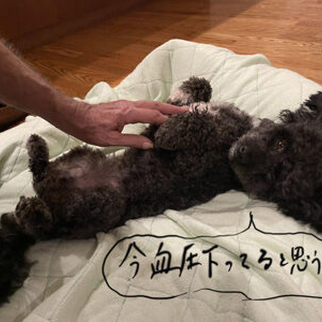 姉の同居の目的にびっくり