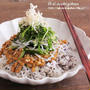 納豆嫌いの主人が絶賛！納豆嫌いでも美味しく食べれる薬味たっぷり納豆ご飯♡