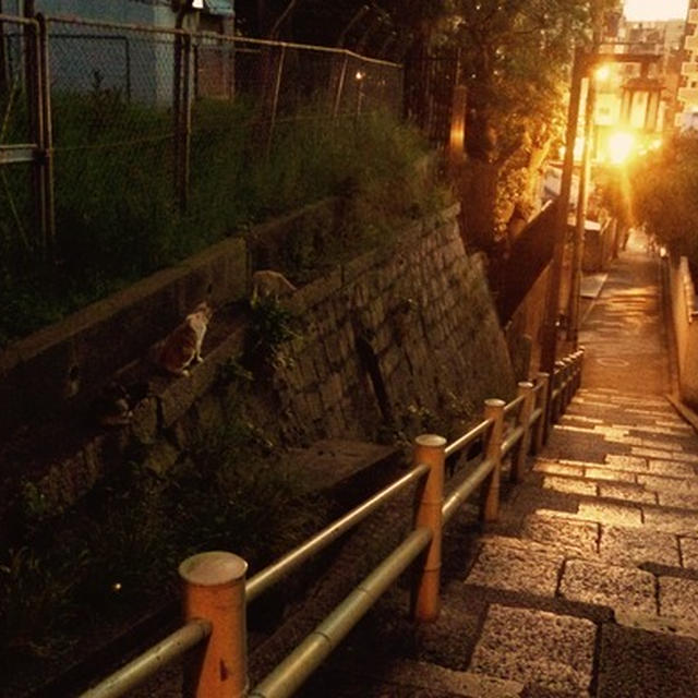 東京に帰ります