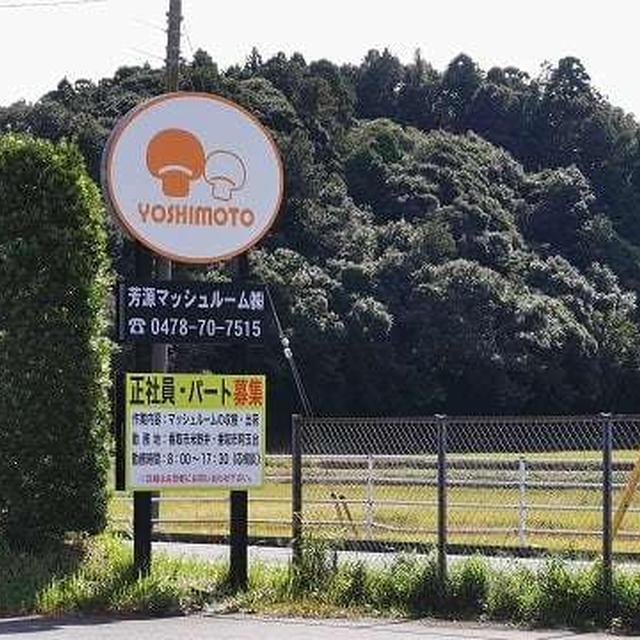 千葉県香取市米野井に行ってきました！ / 黄金町特集