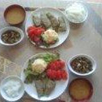玉ねぎは茎の根元