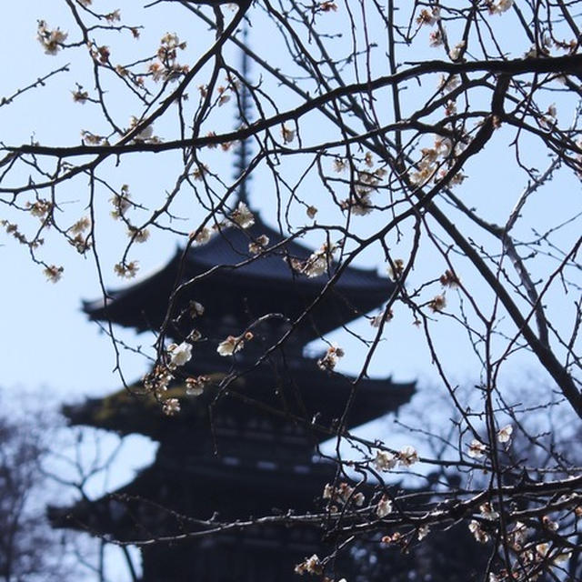 2月の三渓園