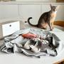 「Orneko BY CLIP」の猫ちゃんグッズ/•᷅•᷄\୭