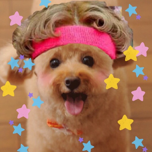 我が家のりゅうちぇる　笑