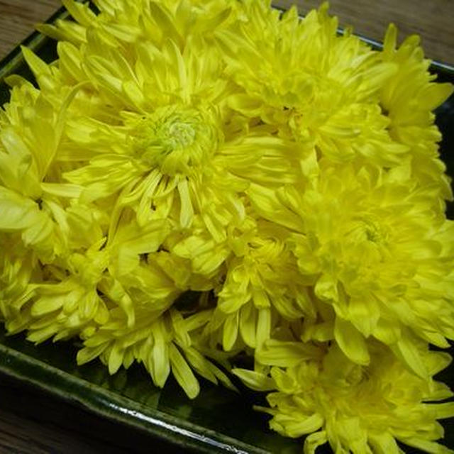 菊のシーズン