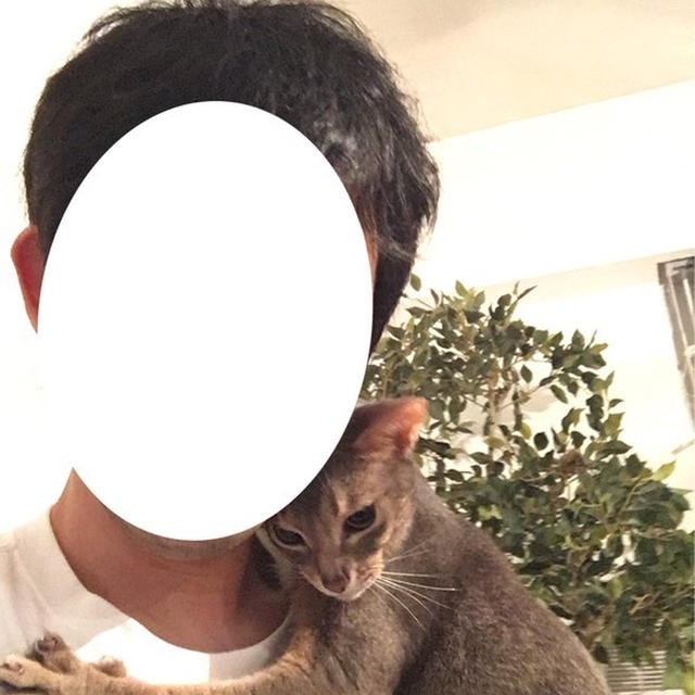 退院の準備できてる　抱っこマン写真を送りつけられてウズウズしている