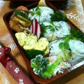 ５/１　今日のお弁当～♪ by ささっちさん