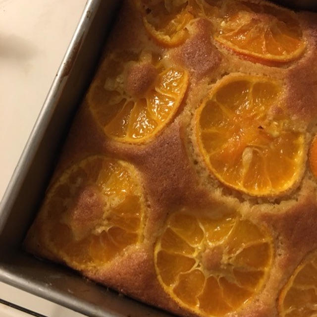ありがとうございました。