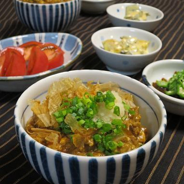 休肝日 ・ すっかりはまった豆腐カレーと今日のオット弁