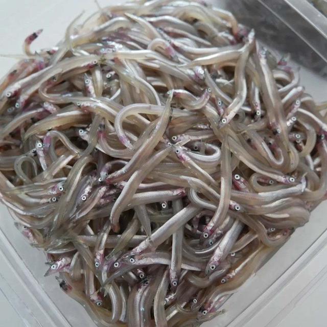 今年のくぎ煮#私のごはん