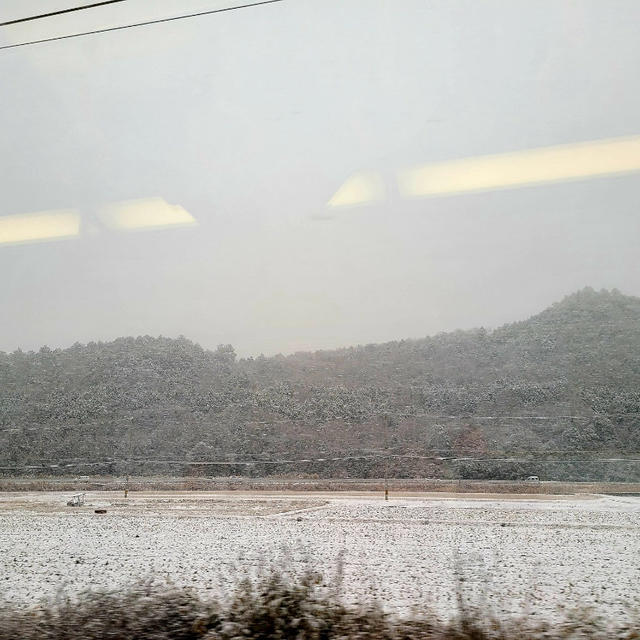 過酷な通勤～今朝の雪～