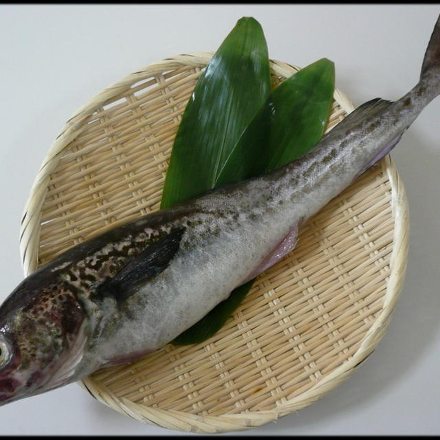 今日の魚 スケトウダラ スケソウダラ By Wnk Shoさん レシピブログ 料理ブログのレシピ満載